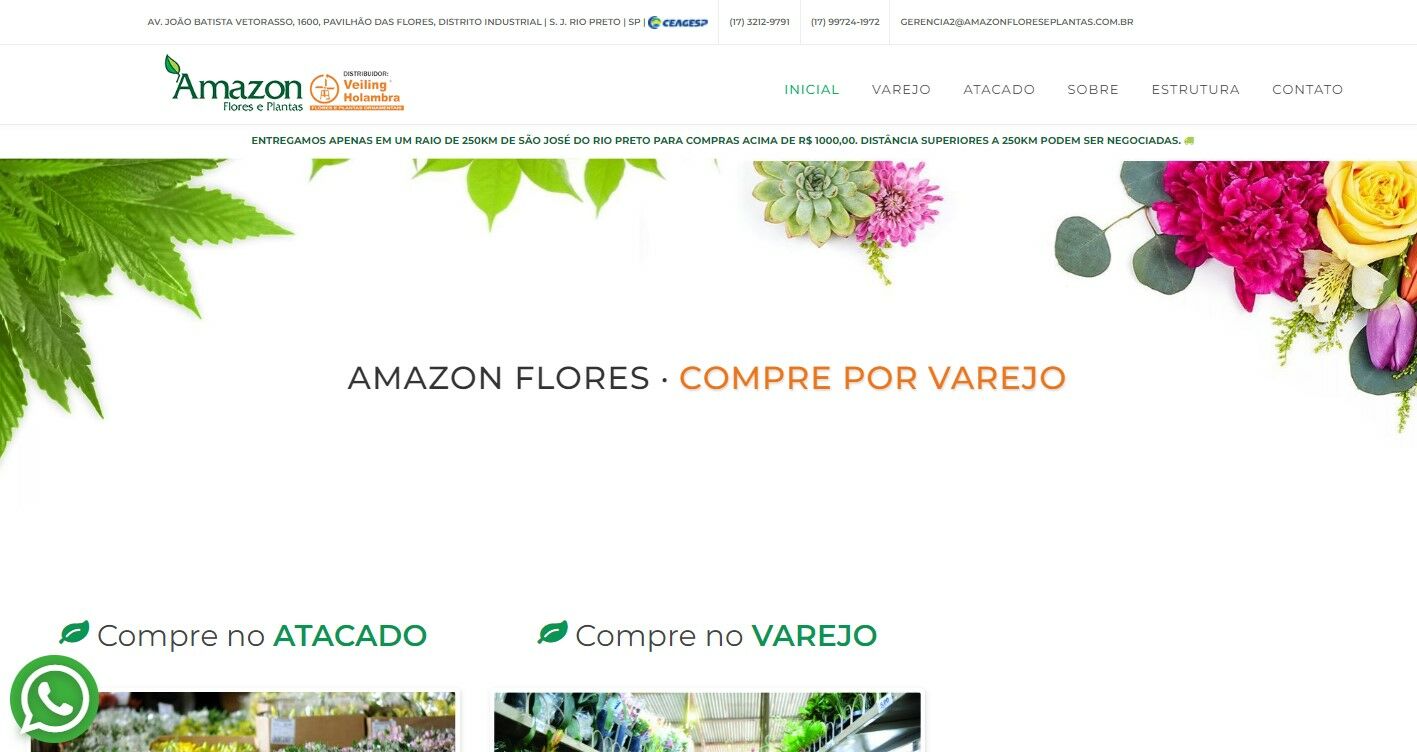 Ilustração Amazon Flores